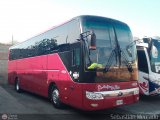 Los Pjaros de Lara 081
