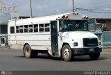 Particular ByNiobuses