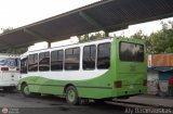 A.C. Transporte San Alejo 30, por Aly Baranauskas