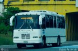 A.C. Transporte Paez 044 por Pablo Acevedo