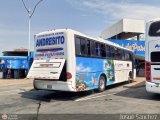 Expresos La Guayanesa 319