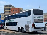 Expresos Flamingo 0141 por Josue S�nchez