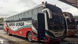 Rpido Ochoa 10220