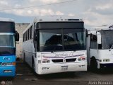 Expresos Los Andes 001 por Alvin Rond�n