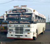 Colectivos La Rosita 017, por El Niobs