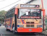 Transporte 1ero de Mayo 021, por Pablo Acevedo