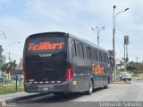 Ficatours 967 por Leonardo Saturno