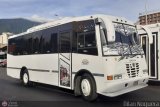 Coop. Transporte Menca de Leoni 118