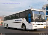 Unin Conductores Ayacucho 1065 Busscar Jum Buss 340 Scania K113CL