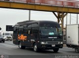 Ficatours 954 por Leonardo Saturno