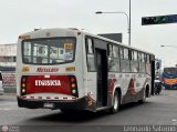 E.T. y Servicios Guadulfo Silva Carbajal 014 por Leonardo Saturno