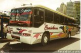 Ceminibuses 032, por Alejandro Curvelo