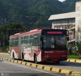 Bus CCS 1019, por Waldir Mata