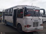 L�nea Altagracia 80 por Aaron Rodr�guez