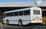 Autobuses de Tinaquillo 14, por Andrs Ascanio