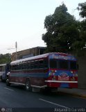 Transporte Colectivo Palo Negro 31