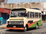 ZU - Colectivo Pomona 36, por Sebastin Mercado