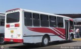 A.C. de Trans. Vencedores de Montalban 11 por Andr�s Ascanio