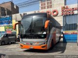 Consorcio V�a S.A.C. 493 por Leonardo Saturno
