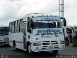 Transporte Nueva Generacin 0026, por Aly Baranauskas