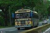 Transporte Unido (VAL - MCY - CCS - SFP) 026, por Pablo Acevedo
