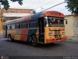 Transporte Colectivo Palo Negro 51