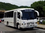 U.C. San Antonio S.C. 154 por �ngel Sal�n