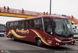 Empresa de Transporte Perú Bus S.A. 418, por Leonardo Saturno