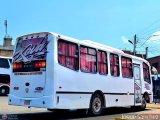 Ejecutivos Kova 088 por Josu� S�nchez