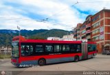 Trolmerida - Tromerca 39