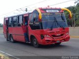 ZU - Transporte La Ciénaga