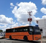 Santa Elena Express 119