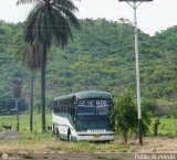 Sin identificacin o Desconocido AO7 Servibus de Venezuela Milenio Intercity Pegaso 5231