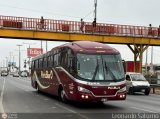 E.T. Per� Bus S.A. 446 por Leonardo Saturno