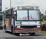 Cooperativa Canaima 07