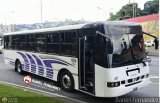 A.C. de Transporte Encarnaci�n 319