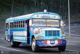 Transporte Agua Blanca 17 Blue Bird Convencional No Integral International 3800