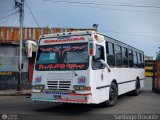 Transporte Bonanza 0036