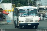 L�nea Altagracia 83 por Pablo Acevedo