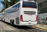 Transporte Clavellino 229, por Alvin Rondn