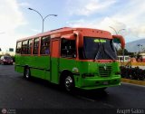 Coop. Transporte Menca de Leoni 080, por ngel Saln