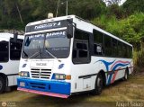 Transporte Mixto Chirgua 0030 por �ngel Sal�n