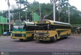 Transporte Panamericano 07 por Colaboraci�n Externa 
