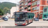 Trolmerida - Tromerca MER-993, por Andrs Figuera