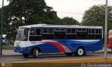 Lnea La Pastora 66, por Aly Baranauskas
