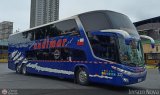 Buses Nueva Andimar VIP 333