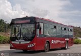 Bus Mrida 850