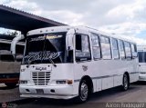 A.C. Uni�n Guanare 130 por Aaron Rodr�guez