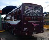 A.C. R�mulo Gallegos 49