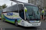Buses Tacoha (Chile) 166